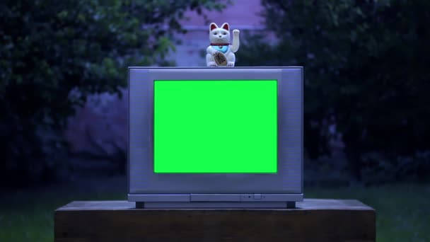緑の画面を持つ古いテレビで招き猫ラッキー猫 ナイト トーン ズーム ショット 緑の画面を必要な映像や画像に置き換えることができます キー効果でそれを行うことができます — ストック動画