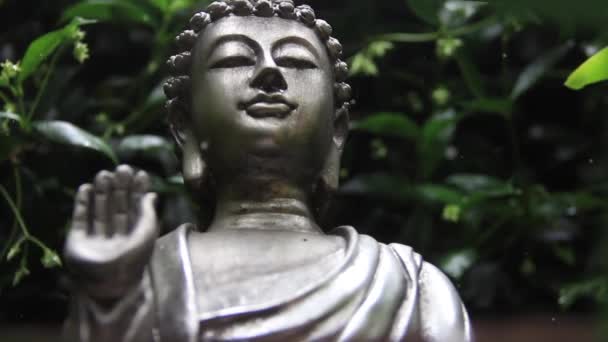 Une Statue Bouddha Dans Jardin Gros Plan — Video