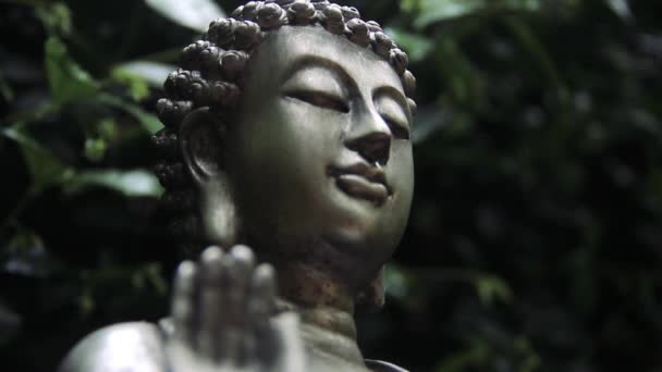 Estatua Buda Jardín Con Fondo Bosque Verde Primer Plano — Vídeo de stock
