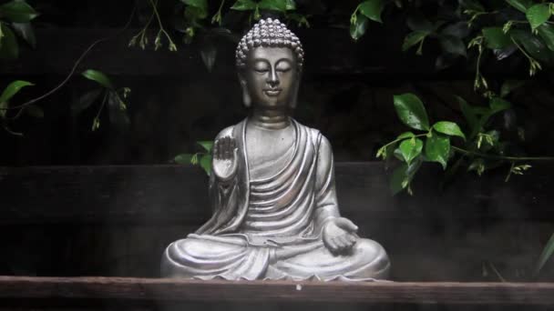 Buddha Statue Einem Garten Mit Grünem Waldhintergrund Vergrößern — Stockvideo