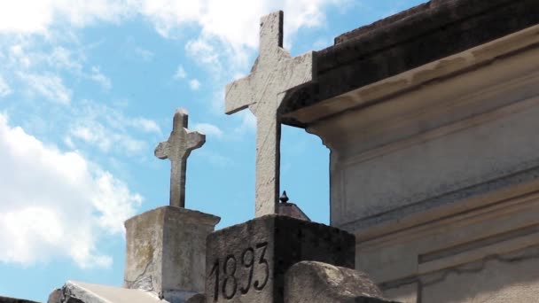 Vecchie Croci Cimitero Recoleta Buenos Aires Argentina — Video Stock
