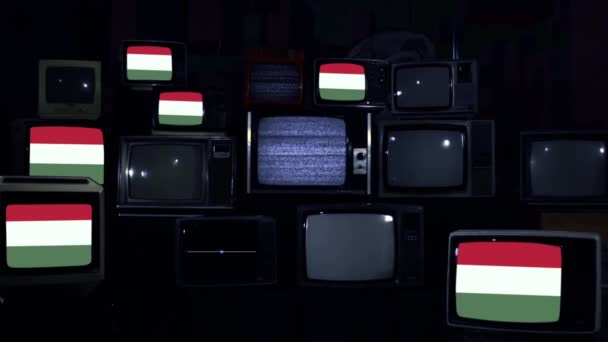Retro Televizyonlarda Macaristan Bayrakları — Stok video