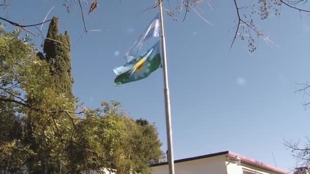 Bandeira Argentina Bandeira Província Buenos Aires Uma Escola Pública Argentina — Vídeo de Stock