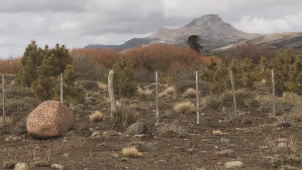 Farm Fence Στην Παταγονία Αργεντινή Νότια Αμερική — Αρχείο Βίντεο