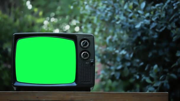 Vintage Green Screen Outdoor Perbesar Anda Dapat Mengganti Layar Hijau — Stok Video