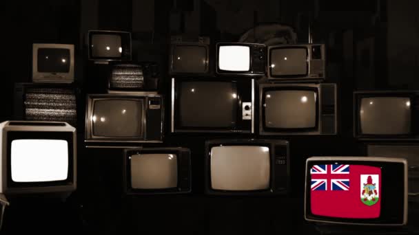 Retro Televizyonlarda Bermuda Bayrakları — Stok video