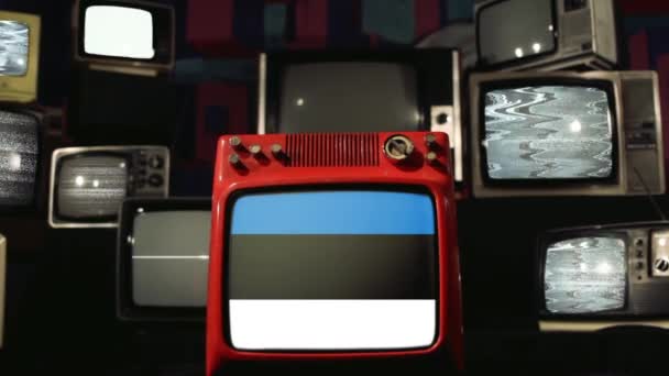 Banderas Estonia Televisores Retro Antiguos — Vídeo de stock