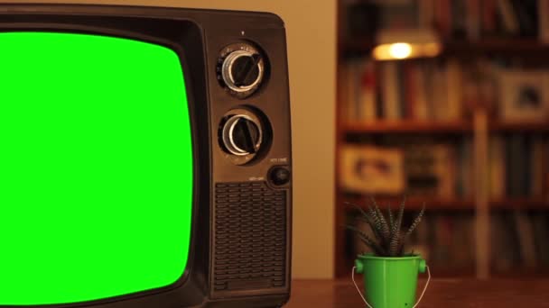 Televisor Con Pantalla Verde Sala Estar Una Casa Ampliar — Vídeo de stock