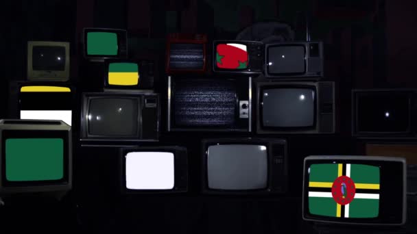 Флаг Доминики Винтажных Телевизоров — стоковое видео