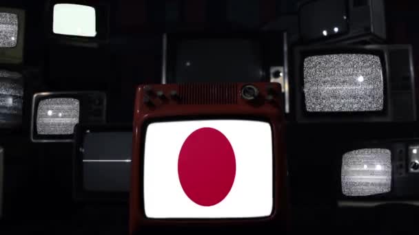 Bandeiras Japonesas Instalação Retro Stack Ampliar — Vídeo de Stock