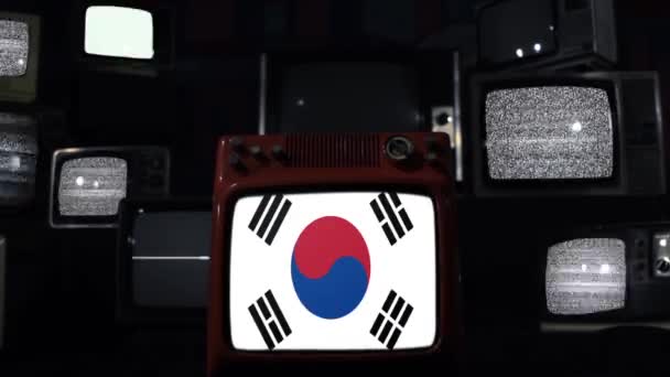 Coreia Sul Bandeiras Uma Parede Retro Ampliar — Vídeo de Stock