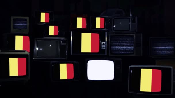 Vlag Van België Retro Televisies — Stockvideo