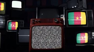 Kamerun ve Vintage Televizyon Bayrağı.  