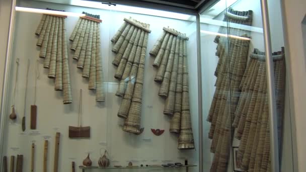 Andean Wind Instruments Museum Paz Bolivia — Stok Video