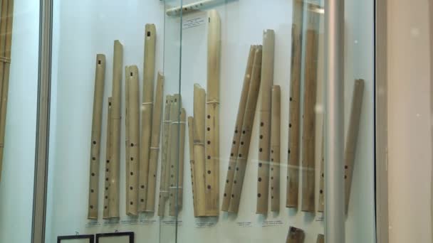 Museo Instrumentos Musicales Andinos Bolivia — Vídeos de Stock