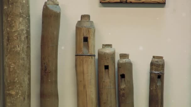 Andinska Instrument Ett Museum Paz Bolivia — Stockvideo