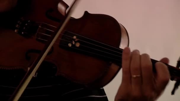 Mann Spielt Geige Einem Raum Nahaufnahme — Stockvideo