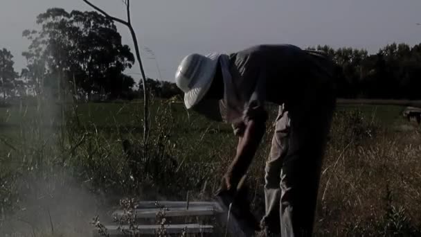 ビーハイブフレームを検査する養蜂家 ビーハイブフレームを保持する男とビーハイブを喫煙する養蜂家 — ストック動画