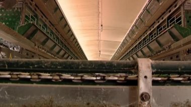 Kümes hayvanları çiftliğindeki kafeslerde kırmızı tepeli tavuklar. Kümes hayvanları, gıda endüstrisi konsepti, tavuk yumurtası üretimi..  