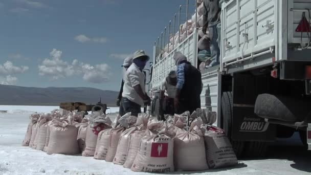 Salt Workers Loading Salt Bags Truck Salinas Grandes Salt Flats — Wideo stockowe