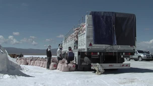 Salt Workers Loading Salt Bags Old Lorry Salinas Grandes Salt — Αρχείο Βίντεο