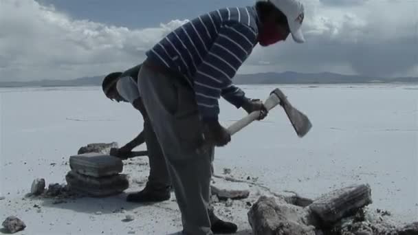 Salzarbeiter Bei Der Gewinnung Von Salzblöcken Salinas Grandes Salinen Argentinien — Stockvideo