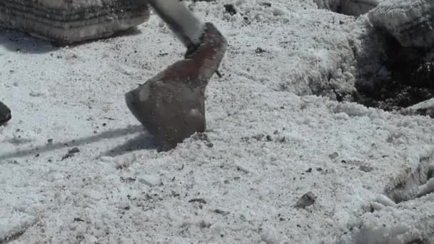 Salzarbeiter Bei Der Gewinnung Von Salzblöcken Salinas Grandes Salinen Argentinien — Stockvideo