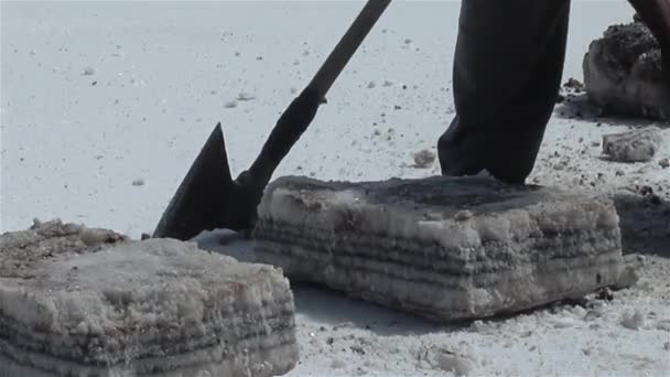 在阿根廷Salinas Grandes盐滩提取盐块的盐业工人 — 图库视频影像