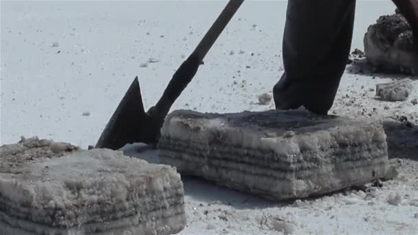 Salzarbeiter Bei Der Gewinnung Von Salzblöcken Salinas Grandes Salinen Argentinien — Stockvideo