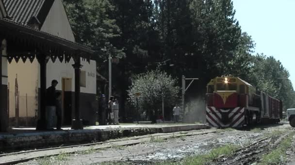Gammalt Godståg General Belgrano Railway Santa Provinsen Argentina — Stockvideo