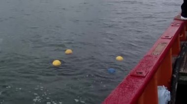 Arjantin, Mar del Plata yakınlarındaki Açık Deniz 'de Balıkçı Ağı Şamandıraları.  