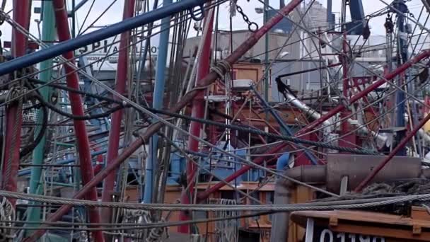 아르헨티나 부에노스아이레스의 마르델플라타 항구에 어선단 — 비디오