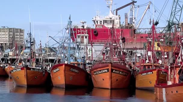 阿根廷布宜诺斯艾利斯省马德普拉塔港口的渔船 — 图库视频影像
