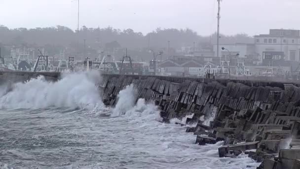 South Breakwater Mar Del Plata Argentyna — Wideo stockowe