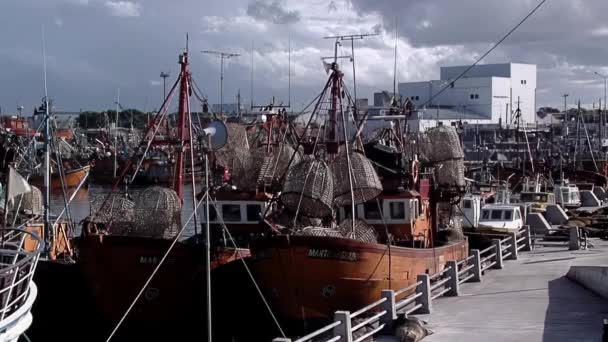 在阿根廷布宜诺斯艾利斯省马德普拉塔港口的渔船 这些传统的小船黎明时去钓鱼 日落时返回 由船主领航 — 图库视频影像