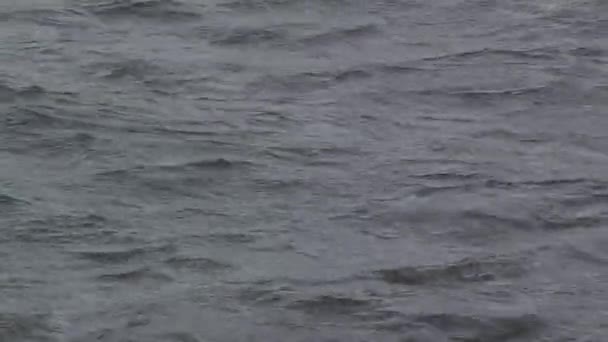 Морська Вода Мар Дель Платі Провінція Буенос Айрес Аргентина — стокове відео