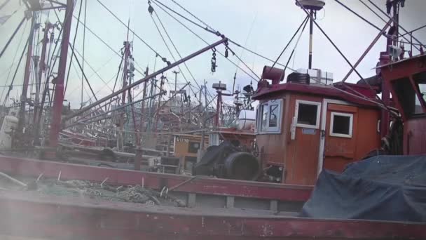 Barche Pesca Porto Mar Del Plata Provincia Buenos Aires Argentina — Video Stock