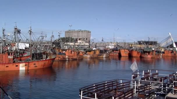 Fishing Boats Port Mar Del Plata Buenos Aires Province Argentina — Stock Video