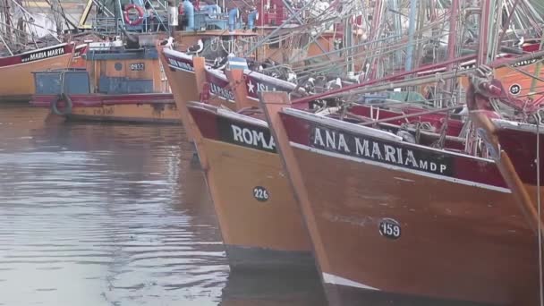 Barcos Pesca Porto Mar Del Plata Província Buenos Aires Argentina — Vídeo de Stock