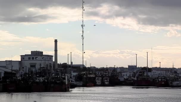 Fischerboote Bei Sonnenuntergang Hafen Von Mar Del Plata Argentinien — Stockvideo