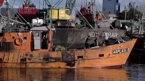 Barcos Pesqueros Puerto Mar Del Plata Provincia Buenos Aires Argentina — Vídeos de Stock