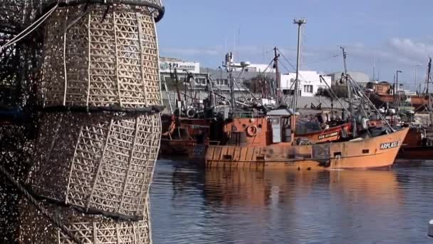 Barcos Pesqueros Puerto Mar Del Plata Provincia Buenos Aires Argentina — Vídeos de Stock