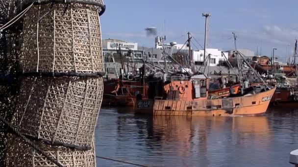 Αλιευτικά Σκάφη Στο Λιμάνι Της Μαρ Ντελ Πλάτα Επαρχία Μπουένος — Αρχείο Βίντεο