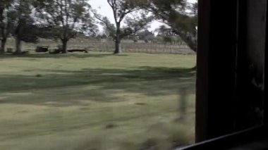 Arjantin 'in Buenos Aires yakınlarındaki Eski Arjantin Yolcu Treni' nin Penceresinden Kırsal Görünüm