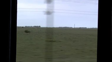 Arjantin 'in Buenos Aires Eyaleti, Buenos Aires Tren Arabaları Arasındaki Açık Kapıdan Tarlaları ve İnekleri Görülen Kırsal Arazi