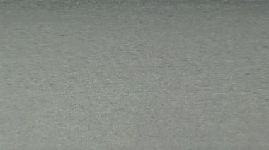 Şafakta Deniz Kuşlarıyla Low Tide Plajı, Puerto Madryn, Patagonya, Arjantin