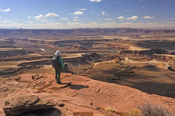 Výhled Canyonlands — Stock fotografie