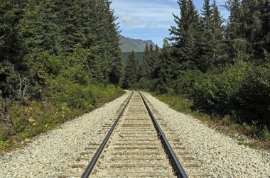 Uzak bir Wilderness demiryolu parça