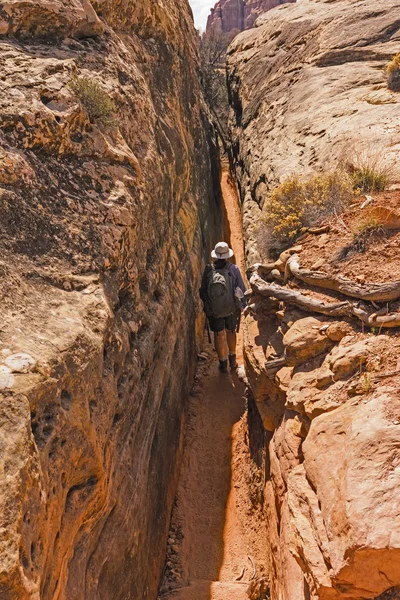 Vandring i en smal Canyon Trail — Stockfoto
