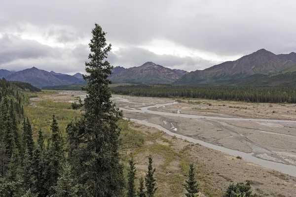 Río trenzado en la selva de Alaska — Foto de Stock